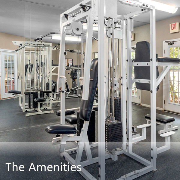 Features & Amenities